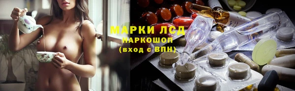 ешки Елизово