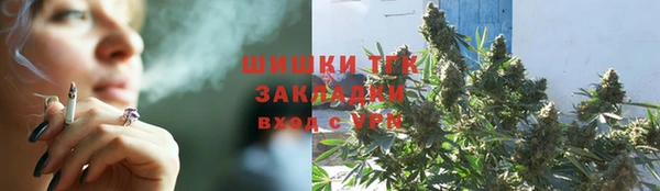 таблы Ельня