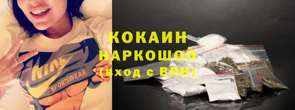 таблы Ельня