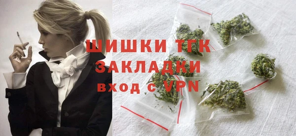 таблы Ельня