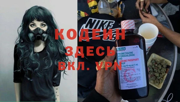 ешки Елизово